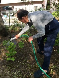 ここはハワイ〜⁈ ここはハワイ〜⁈