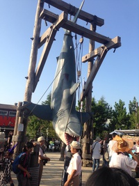 親睦旅行^ ^オーサカ行ってきたどー(*^^*) 親睦旅行^ ^オーサカ行ってきたどー(*^^*)
