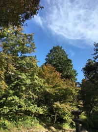 白峰寺へGO! 白峰寺へGO!