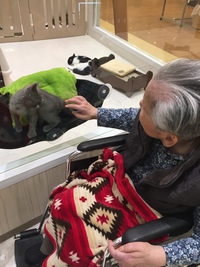 サーティワンでかんぱ〜い♪ サーティワンでかんぱ〜い♪