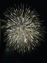 大寿苑夏祭り 大寿苑夏祭り