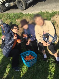 みかん狩り みかん狩り