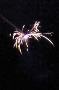 花火♪♪