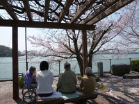 お花見