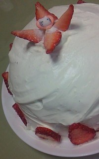 ぽてぽて兄~Birthday♪