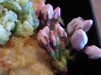 ✿グループホームあいでお花見✿
