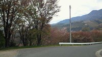 トラベルヘルパー横浜へ→