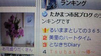 市民ブログ4位☆彡