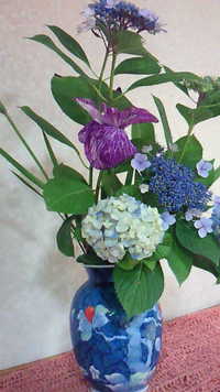 紫陽花&菖蒲