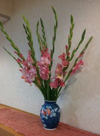 短冊に願いを込めて・・・♪