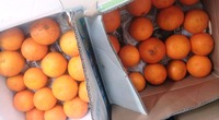 届きました~♪