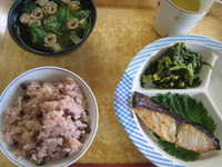 今日はお一日です