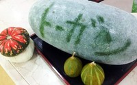 トーガン??