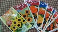 お花でいっぱいに~♫