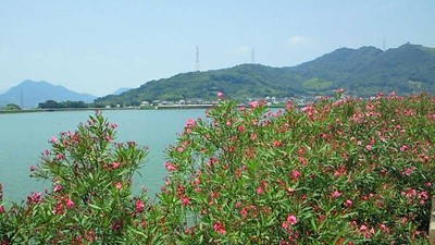 ♪避暑地♪