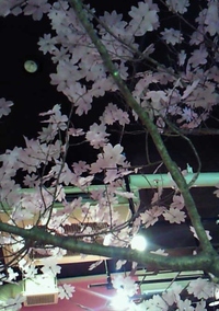 一足はやく・・・♫