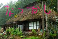 岡本カレッジ(ビデオの巻き)