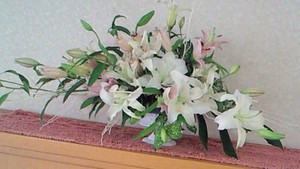 椿温泉の魅力❤