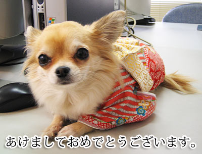 おそくなりましたが・・・