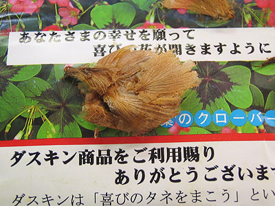 こんなの送られてきた!