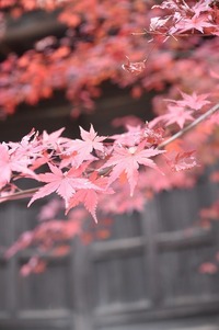 長州の旅