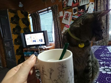 今日は寒いね~ 今日は寒いね~
