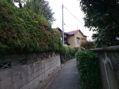 今日は寒いね~ 今日は寒いね~