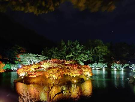 栗林公園秋のライトアップ 本日12/1まで 栗林公園秋のライトアップ 本日12/1まで