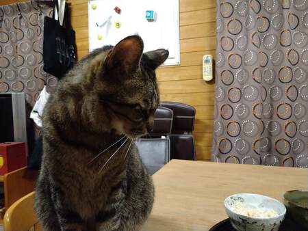 やりたいことは数あれど身体はひとつ やりたいことは数あれど身体はひとつ