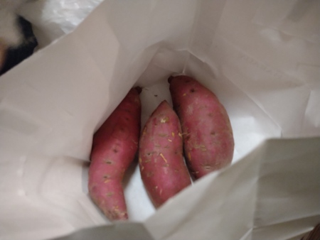 風邪をひいたら洒落にならんし 風邪をひいたら洒落にならんし