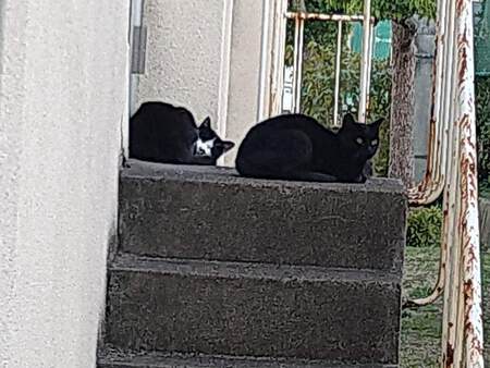 路地裏おんな あるく(笑) 路地裏おんな あるく(笑)