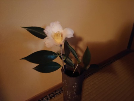 圓通寺お茶倶楽部 1/27 圓通寺お茶倶楽部 1/27