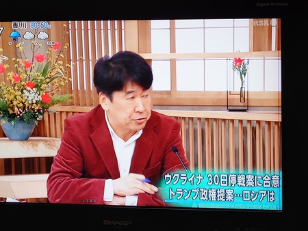本当か嘘かしらないけどさ 本当か嘘かしらないけどさ