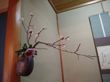 月に一度の喫茶室 2月@ 水屋係 おわりました 月に一度の喫茶室 2月@ 水屋係 おわりました