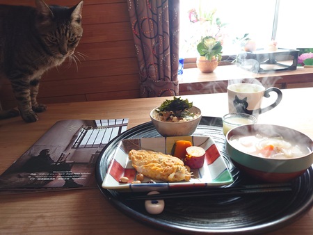 昭和のお父さん的 猫 昭和のお父さん的 猫