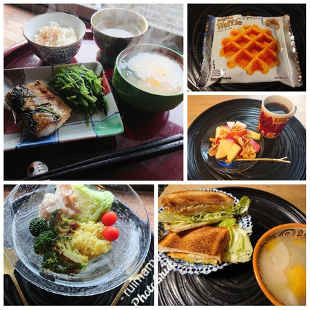 今日の歩く・食べる 今日の歩く・食べる