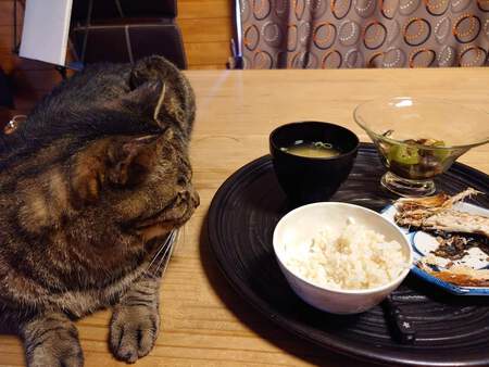 ひとりでごはんが食べたい! ひとりでごはんが食べたい!