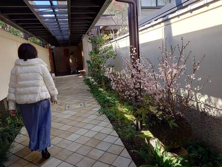 樂美術館参りました 樂美術館参りました