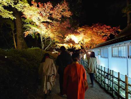 栗林公園秋のライトアップ 本日12/1まで 栗林公園秋のライトアップ 本日12/1まで