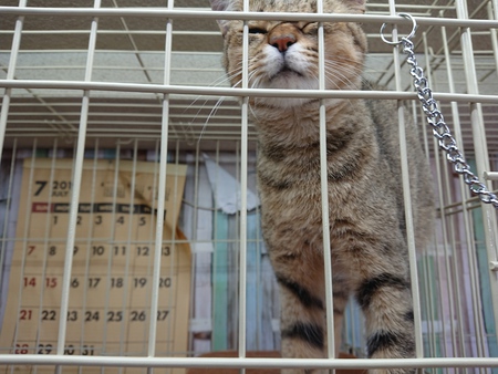 老い仕度は 始まってる。 老い仕度は 始まってる。