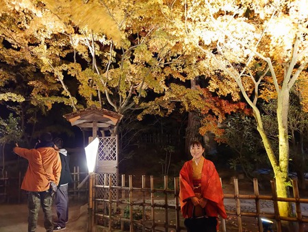栗林公園秋のライトアップ 本日12/1まで 栗林公園秋のライトアップ 本日12/1まで