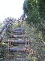 国分寺・福家豪族と棚田のさと