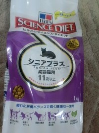 宿題ももっていく