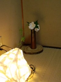 しど「侘助」(詳細)