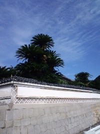 海は何を思っているのだろう・・