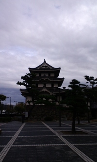 今日も、コトデンことことな一日。