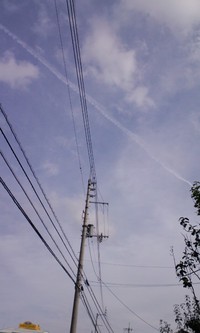 いくら廃仏毀釈をしても必要なものは救われる。