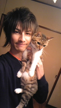 例のお写真ですが