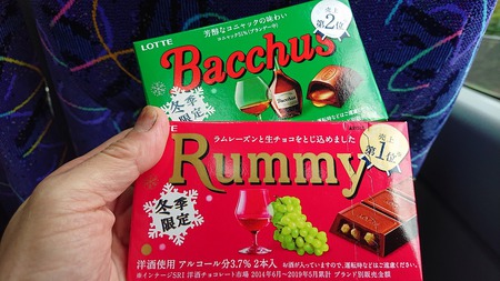 ツアー限定特別企画 ツアー限定特別企画