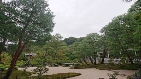 ツアー限定特別企画 ツアー限定特別企画